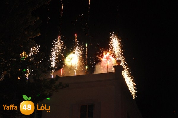 tree light 1208 (99).JPG